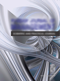             Пондеромоторные силы. 2. Магнетики и нелинейные материалы
    